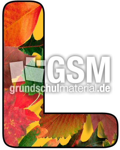 Herbstbuchstabe-5-L.jpg